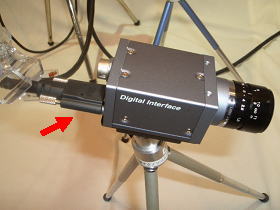 Photo5