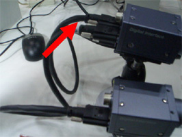 Photo16