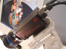 Photo25