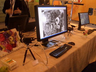 Photo11