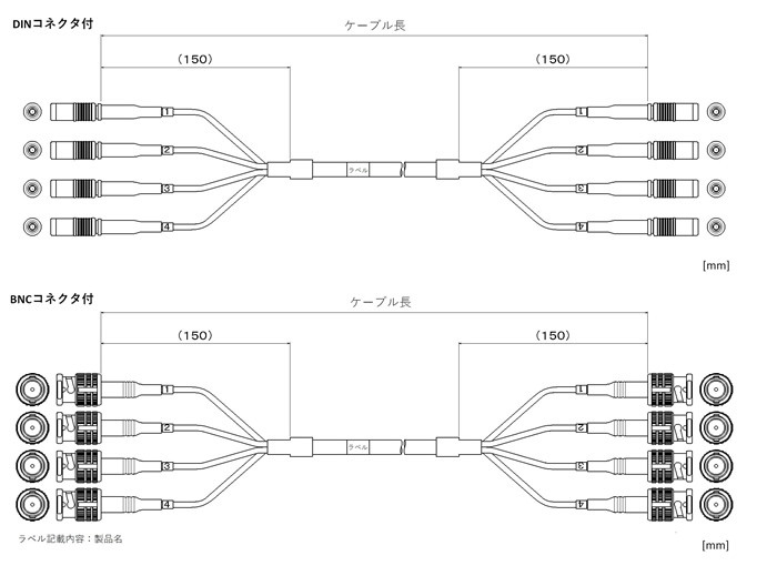 概観図