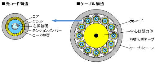 構造