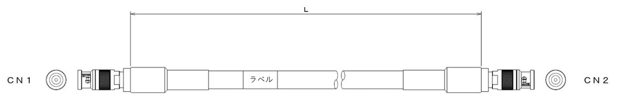 概観図